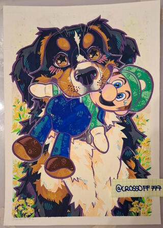 Posca Marker Commission